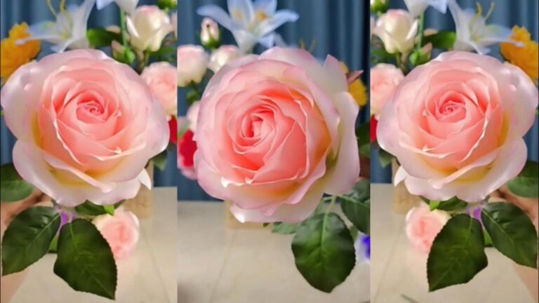 Questo semplice gesto trasforma rose secche in splendide fiori idratanti…