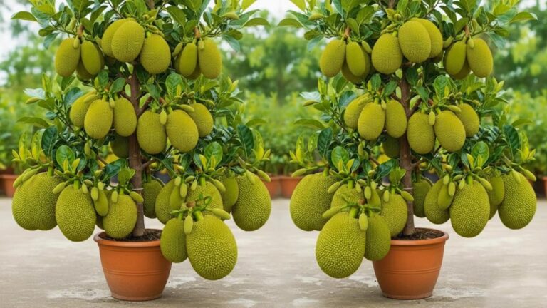 Questo semplice gesto trasforma un ramo in un albero di jackfruit… scopri come!