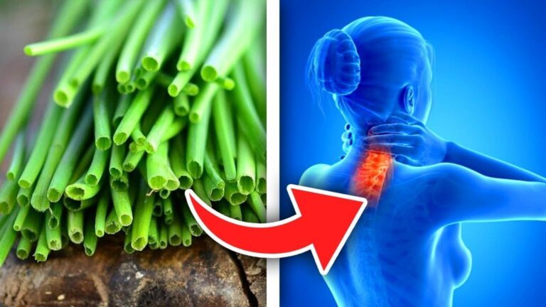 Alcuni giardinieri usano l’erba cipollina ogni giorno e i risultati sono sorprendenti…